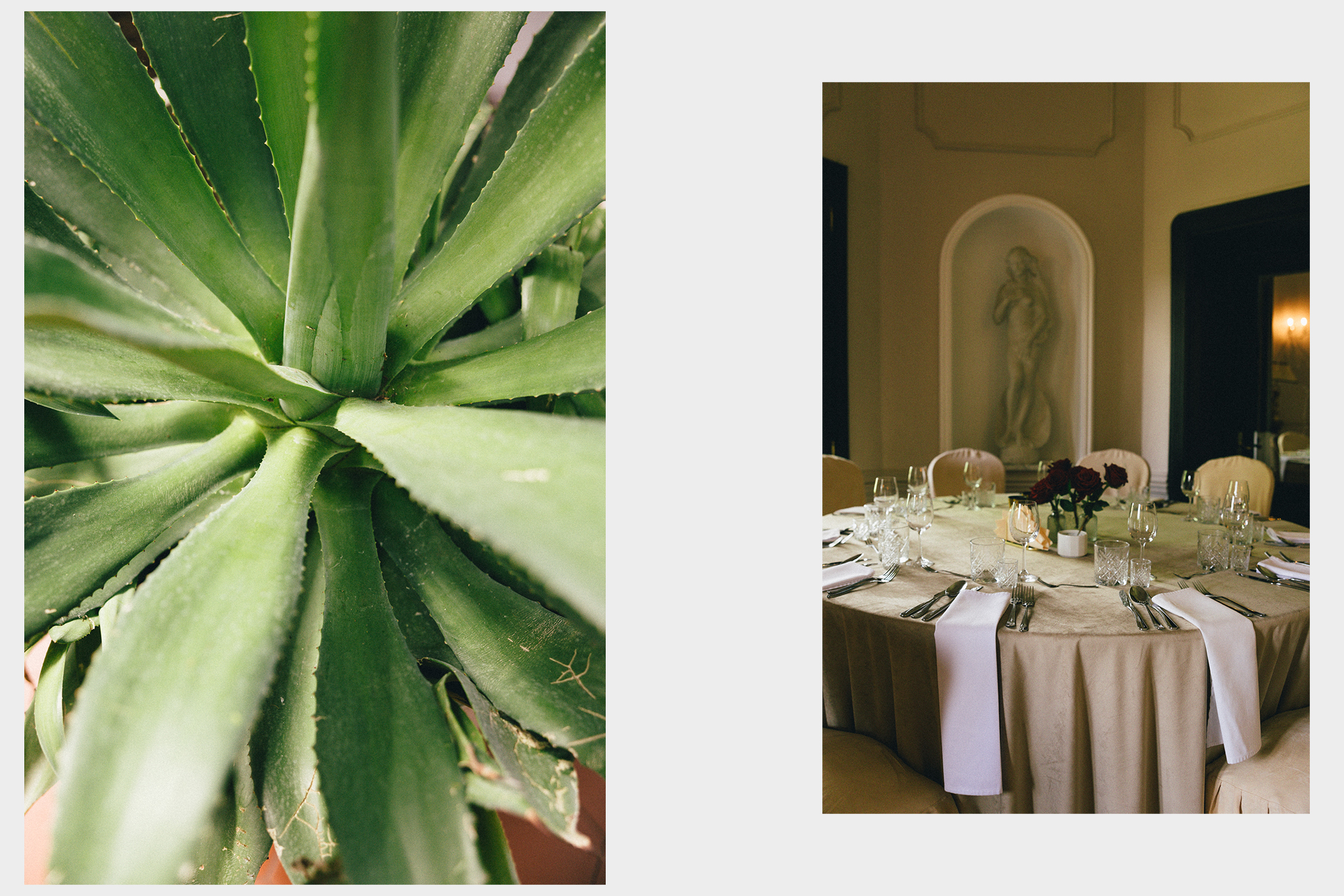 Wesele w palacu-4 copy